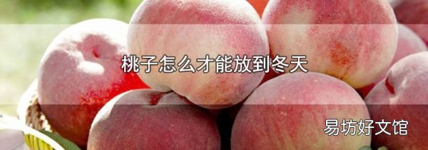 桃子怎么才能放到冬天