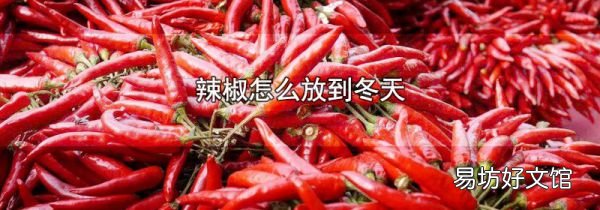 辣椒怎么放到冬天