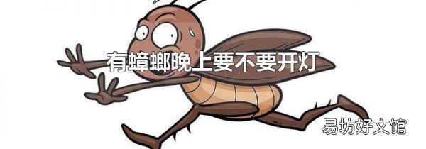 有蟑螂晚上要不要开灯