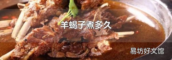 羊蝎子煮多久