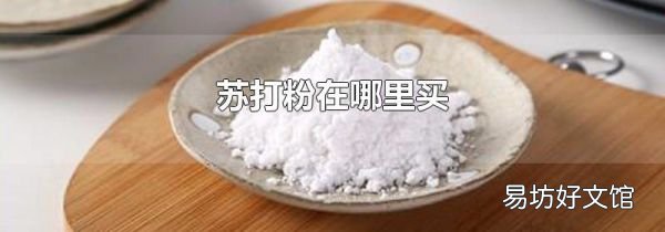 苏打粉在哪里买