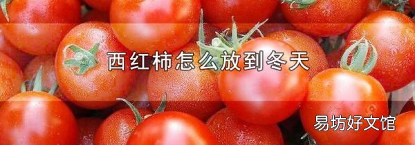 西红柿怎么放到冬天