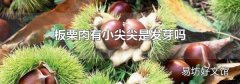 板栗肉有小尖尖是发芽吗