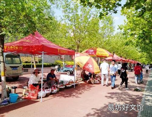 农村土地大量荒废 劳动力外流是主要原因