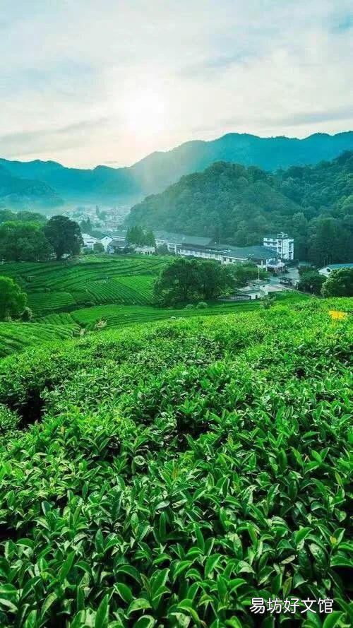 农村土地大量荒废 劳动力外流是主要原因