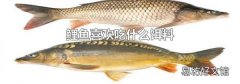 鲤鱼喜欢吃什么饵料