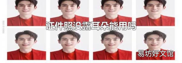 证件照没露耳朵能用吗