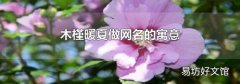 木槿暖夏做网名的寓意