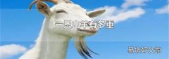 一只山羊有多重
