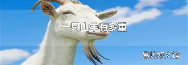 一只山羊有多重
