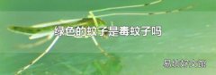 绿色的蚊子是毒蚊子吗