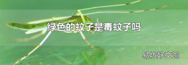 绿色的蚊子是毒蚊子吗