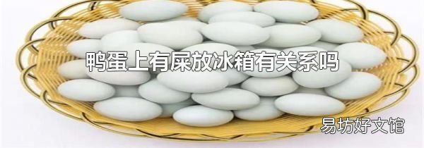 鸭蛋上有屎放冰箱有关系吗