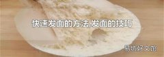 快速发面的方法,发面的技巧