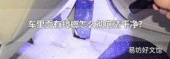 车里面有蟑螂怎么彻底清干净?