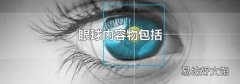 眼球内容物包括