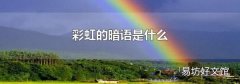 彩虹的暗语是什么