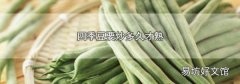 四季豆要炒多久才熟