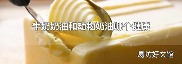 牛奶奶油和動(dòng)物奶油哪個(gè)健康