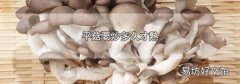 平菇要炒多久才熟