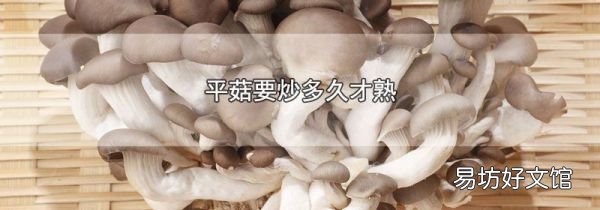 平菇要炒多久才熟