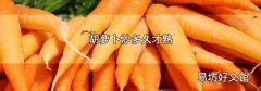 胡萝卜炒多久才熟