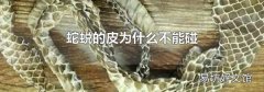 蛇蜕的皮为什么不能碰