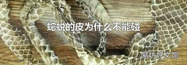 蛇蜕的皮为什么不能碰