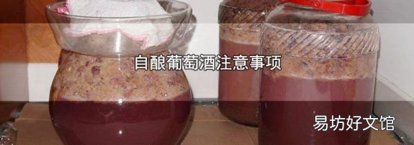 自酿葡萄酒注意事项