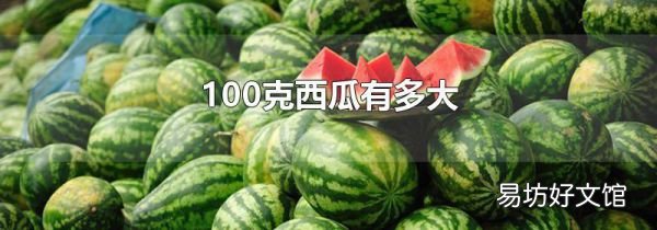 100克西瓜有多大