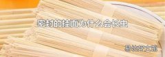 密封的挂面为什么会长虫