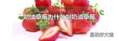 奶油草莓为什么叫奶油草莓