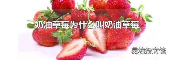奶油草莓为什么叫奶油草莓