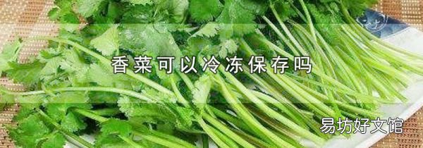 香菜可以冷冻保存吗
