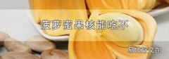 菠萝蜜果核能吃不