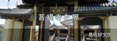 菩提寺在哪