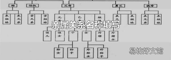 親屬關(guān)系名稱(chēng)填寫(xiě)