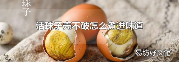 活珠子壳不破怎么煮进味道