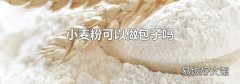 小麦粉可以做包子吗