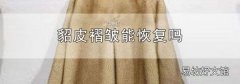 貂皮褶皱能恢复吗