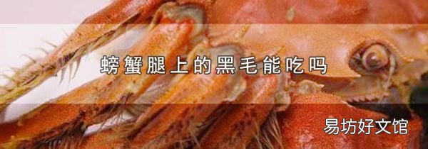 螃蟹腿上的黑毛能吃吗