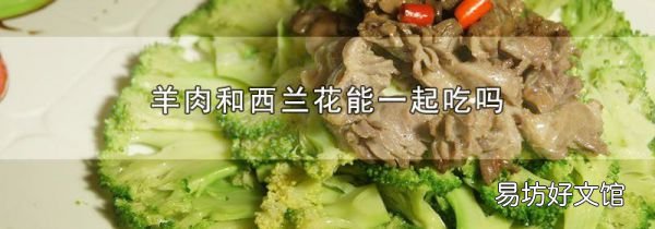 羊肉和西兰花能一起吃吗