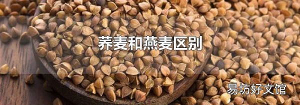 荞麦和燕麦区别