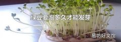 绿豆要泡多久才能发芽