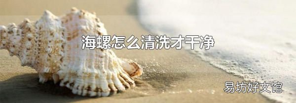 海螺怎么清洗才干净