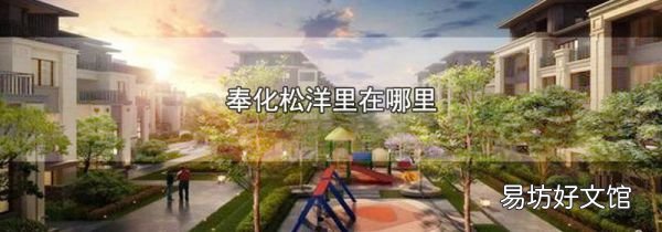 奉化松洋里在哪里