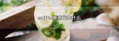mojito寓意代表什么
