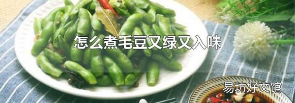 怎么煮毛豆又绿又入味