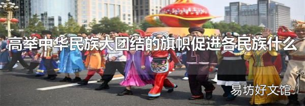 高舉中華民族大團(tuán)結(jié)的旗幟促進(jìn)各民族什么