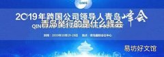 青岛举行的是什么峰会